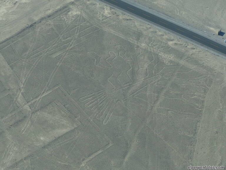 geoglifos de nazca 029